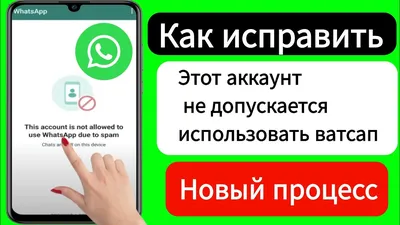 WhatsApp: новая функция безопасности, которую вам следует использовать -  