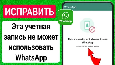 WhatsApp Business: что это и как использовать бизнесу. Читайте на 