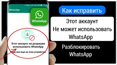 WhatsApp теперь позволяет использовать два аккаунта одновременно - РИА  Новости, 