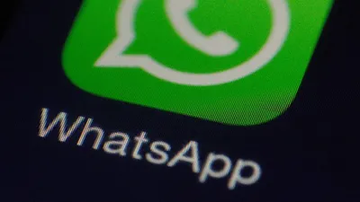 WhatsApp Business API: что это такое и как правильно использовать для  коммуникации с клиентом | 