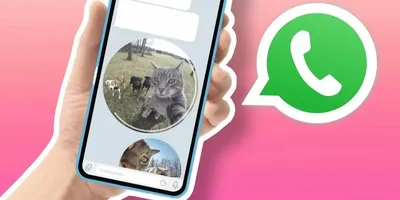 В погоне за Telegram: новые функции WhatsApp и как их использовать