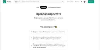 Где взять уникальные картинки для сайта? Обзор бесплатных и платных  фотостоков