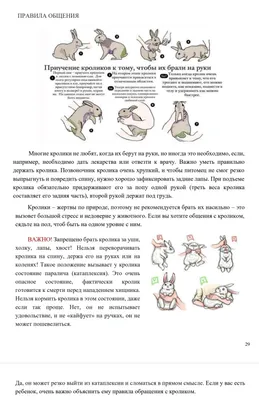 Что взять с собой в Стамбул: полный список и рекомендации