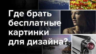 Где брать картинки для рекламы: обзор бесплатных и платных фотостоков