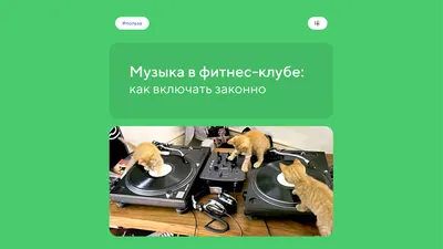 Законное использование музыки в фитнес-клубе: правила и рекомендации