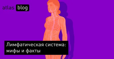 Cutaneous lymphoma – a patient's guide Кожная лимфома — справочник пациента