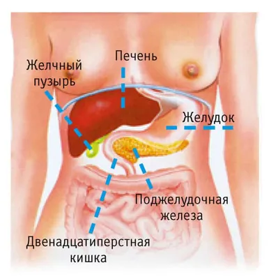 Почечная колика у женщин и мужчин: симптомы, лечение, причины. Урология