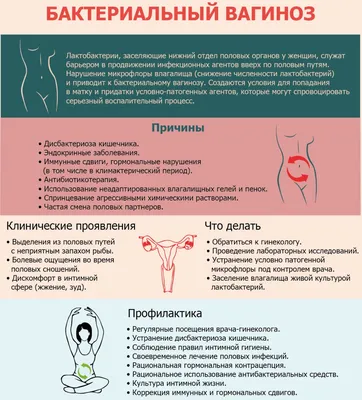 УЗИ матки и придатков – цена в Москве, сделать ультразвуковое исследование  матки в клинике Будь Здоров