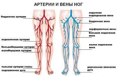 Как сделать ноги стройными при помощи обычной лестницы — пять простых  упражнений от фитнес-инструктора -  - 