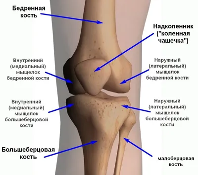 Красноперов Сергей Николаевич-Владеет всеми видами артроскопических  операций на крупных суставах; выполняет реконструктивно-восстановительные  операции на крупных суставах, включая эндопротезирование; занимается  хирургическим лечением патологии стоп и друг