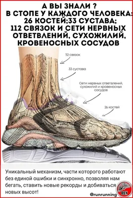 Конор может пропустить полгода из-за лоукиков Порье. Рассказываем, что  происходит с ногами из-за таких ударов - Недоэкспертное мнение - Блоги -  