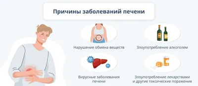 Зачем нашему организму печень?