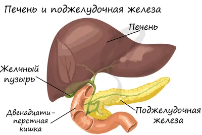 Иллюстрации к "Аггада О Разбитых Сосудах - Кли"