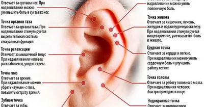 Точка G. Где находится и как её найти. Практика и стимуляция, Вероника  Ларссон – скачать книгу fb2, epub, pdf на ЛитРес