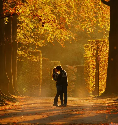 Парень и девушка обнимаются, целуются…» — создано в Шедевруме