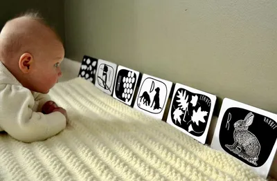 Черно-белые картинки для новорожденных: развиваем зрение малыша от 0 до 6  месяцев / 