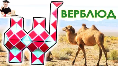 Сувенир "Верблюд" купить в Баку