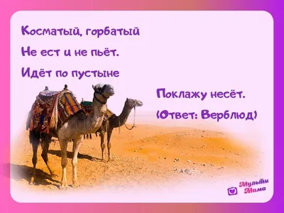 А Вы нашли верблюда? 🐫 | МамаСама | Дзен