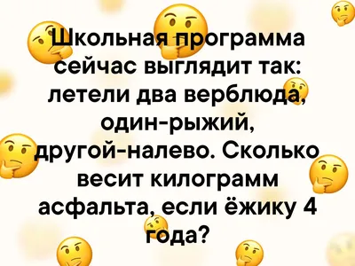 Школьная программа сейчас выглядит так: летели два верблюда, один-рыжий,  другой-налево. Сколько весит килограмм асфальта,.. | ВКонтакте