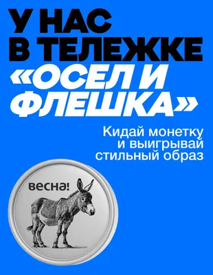 Весна в Санкт-Петербурге – что посмотреть весной, какая будет погода