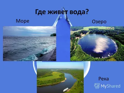 Настольная игра «Где живет Вода?» (694115) - Купить по цене от  руб. |  Интернет магазин 