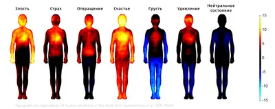 Где живут эмоции в теле картинки