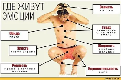 Кабины Райха - 🤩Где живут эмоции? Часть 1. Тело – это продолжение нашей  психики. ⠀ 👧🏼Первое осознание у ребенка – это осознание своего тела. Все  наши мысли и действия, окрашенные эмоциями и