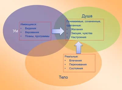 Тело помнит все: где спрятались переживания | Журнал Вестник Психологии