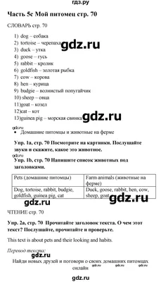 Gdz Elektrik: Elektrik Dağıtım Hizmetleri