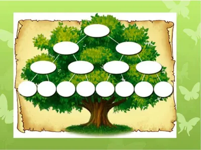 Что символизирует генеалогическое древо, и как его правильно оформить |  История одной семьи | Дзен