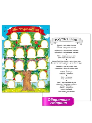 Генеалогическое древо семьи. Родословная. Воспитателям детских садов,  школьным учителям и педагогам - Маам.ру