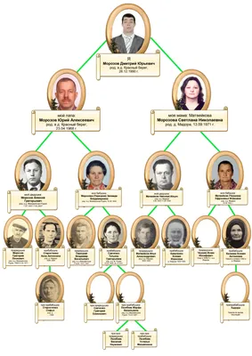 Купить Фоторамка Кот ученый - родословная, генеалогическое древо, дерево  семьи, семейное древо | Семейное дерево поделки, Семейное дерево шаблоны,  Детские поделки