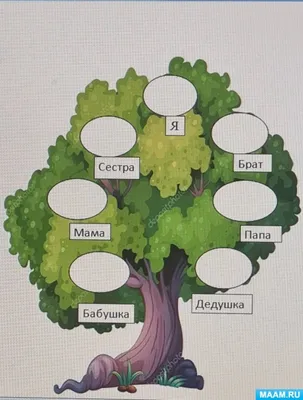 Генеалогическое древо - генеалогическое дерево семьи, цены на составление,  фото