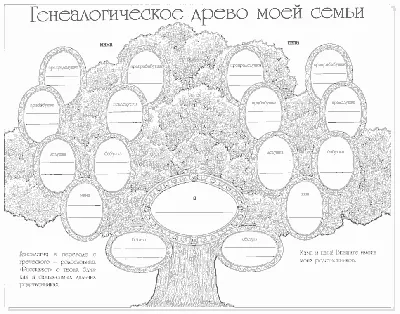 Генеалогическое древо шаблон (вектор) — 