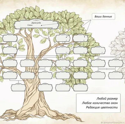 Генеалогическое дерево семьи (шаблон, вектор) в интернет-магазине Ярмарка  Мастеров по цене 1490 ₽ – R1C8WBY | Фотокартины, Саратов - доставка по  России