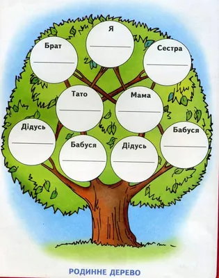 Генеалогическое древо семьи 