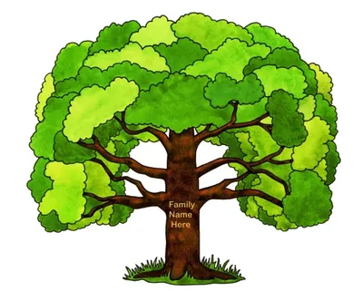 Генеалогическое древо: 60 шаблонов для заполнения