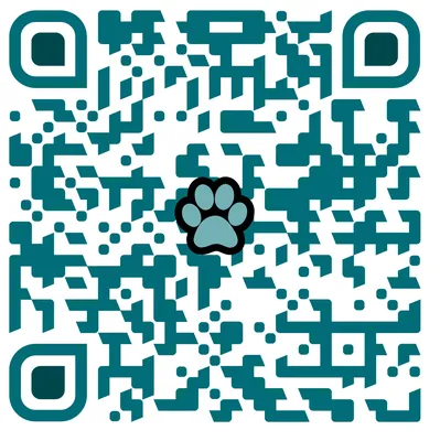 Генератор QR кода онлайн