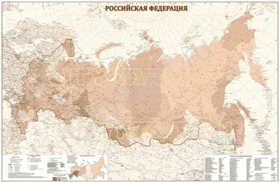 Купить карту Российской Федерации с новыми регионами политические,  физические на стену 2024 год Интернет магазин CityKart