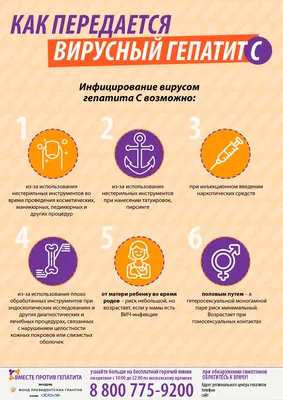 Вирусный гепатит C, лечение гепатита С в Минске | Биомедика
