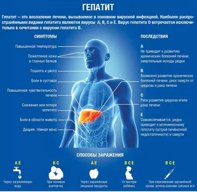 Чем опасен гепатит С и что делать для профилактики заражения?