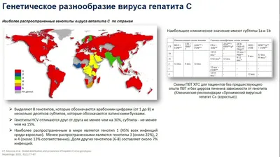 Методические рекомендации для населения по профилактике вирусного гепатита С  |  | Рассказово - БезФормата