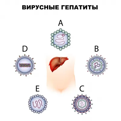 Гепатиты: что важно знать о вирусных заболеваниях печени?