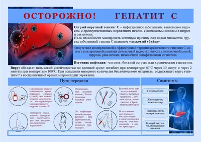 Гепатит от А до С | ГБУЗ "ЧОЦОЗ МП"