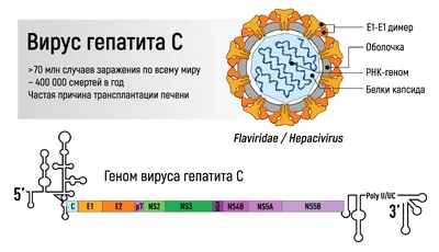 Новости | Научно-практический центр детской психоневрологии