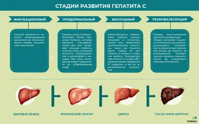 Аптека Ригла – забронировать лекарства в аптеке и забрать самовывозом по  низкой цене