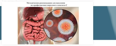 Методические рекомендации для населения по профилактике вирусного гепатита С  - Детская инфекционная клиническая больница № 6