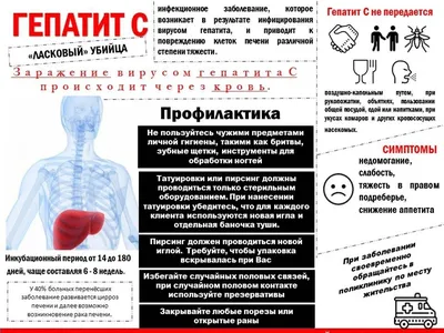 Острый и хронический вирусный гепатит в России - Инфографика ТАСС