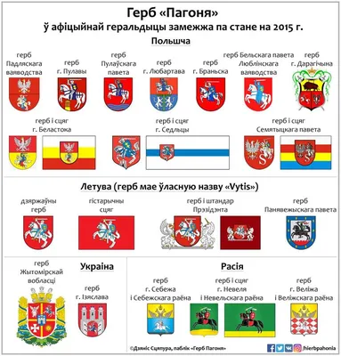 Круглый значок "Герб Погоня" купить в интернет-магазине RusAtribut