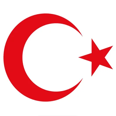 Лидер продаж, интересный национальный герб Турции, Луна и звезда, Турецкий  флаг, наклейки из винила ПВХ 15 см * 12 см KK | AliExpress